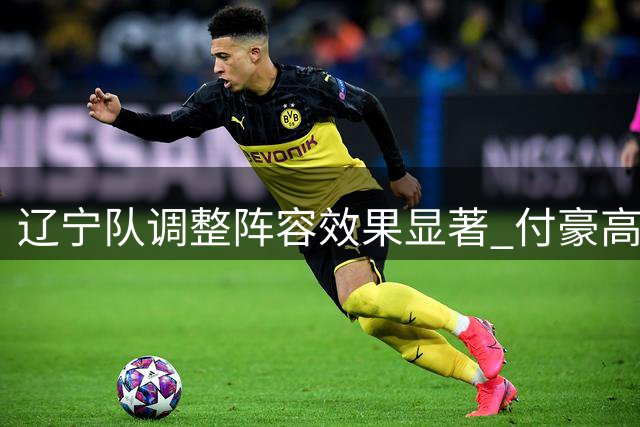 辽宁队调整阵容效果显著 付豪高效表现获认可